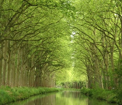 chambres d'hôtes Montagnac Canal du Midi Viaduc de Millau Mer Méditerranée Sète B&B